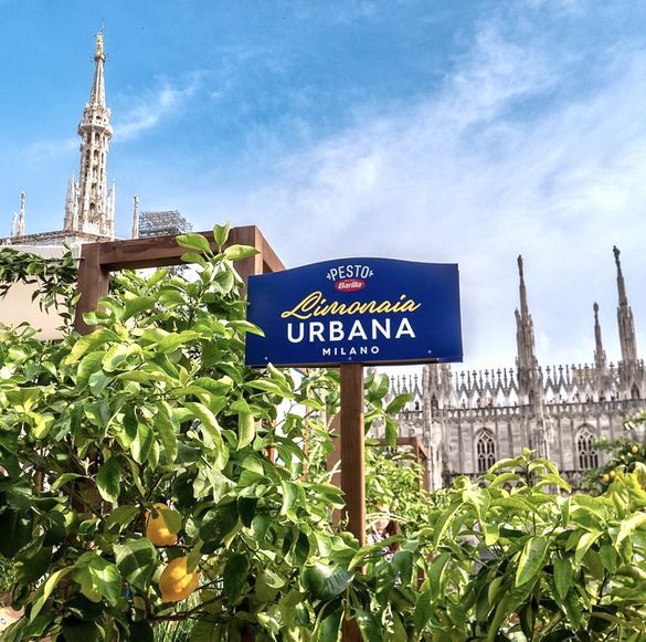 Cartello Evento Limonaia Urbana Barilla Milano con vista guglie del Duomo dalla Terrazza Regus