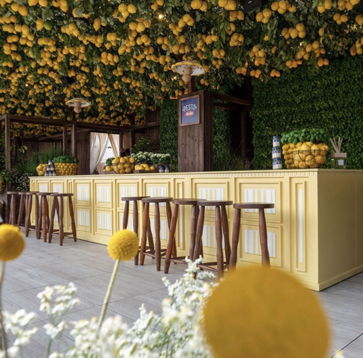 Bar allestito con limoni e basilico per l'evento Limonaia Urbana Barilla in Terrazza Regus piazza Duomo Milano